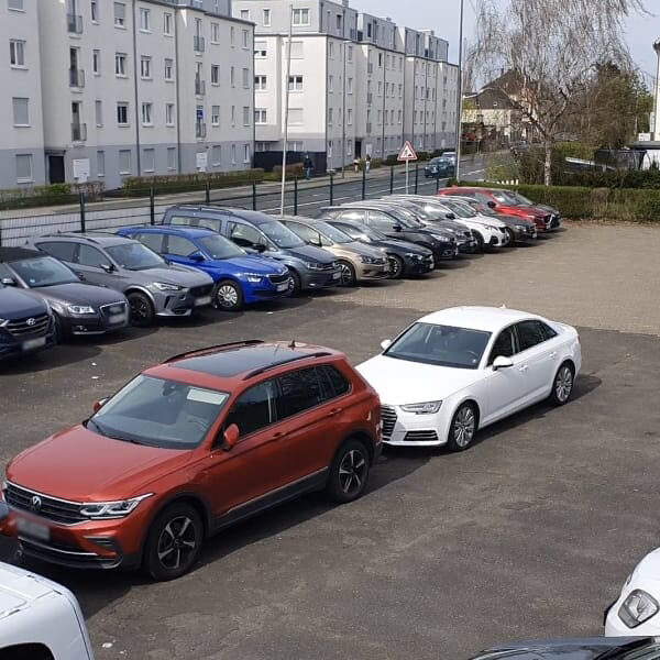 Parkdichfrei_1